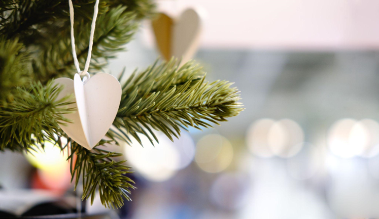 The King of Christmas Trees: A Flocked Wonder for Family Unity